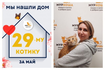 Леопардыч стал домашним котиком!