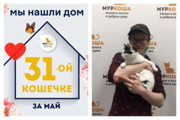 Кошечка Жужелица отправляется в новую жизнь!