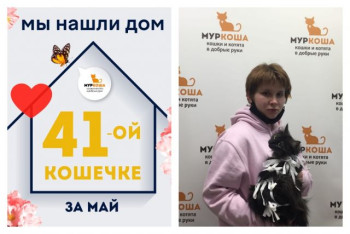 Кошечка Неллис нашла новый дом за две недели!