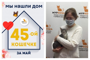 Малышка Эндипанда познакомилась со своей хозяйкой!