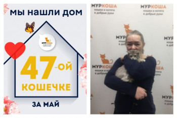 Кошечка Карлита стала домашней любимицей!