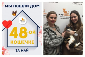 У годовалой кошечки Охры теперь есть дом и семья!