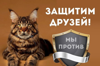 Мы против! Защитим друзей!