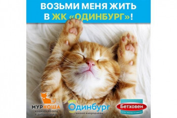 Возьми меня жить в ЖК "Одинбург"!