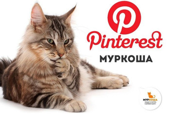 "Муркоша" в Pinterest