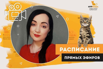 Прямые эфиры. Летнее время вещания