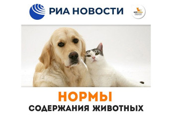 В Госдуму внесли законопроект о содержании домашних животных