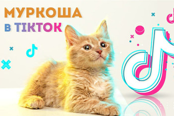 МУРКОША в Tiktok!