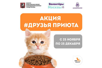Акция "ДРУЗЬЯ ПРИЮТА"