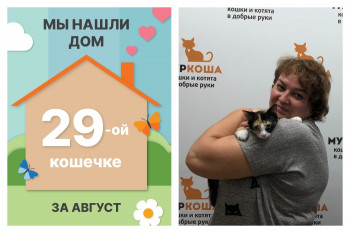 Крошка Фунчоза нашла дом за два месяца!