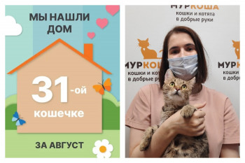 У кошечки Вайолет появилась заботливая хозяйка!