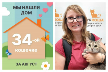 Нежная кошечка Луччи отправилась домой!