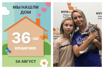 Кошечка Борджиа стала частью прекрасной семьи!