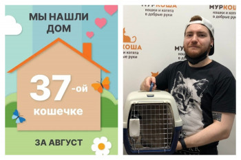У кошечки Зюли появились ответственные хозяева!