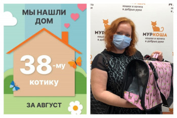Котик Агент стал домашним и счастливым!