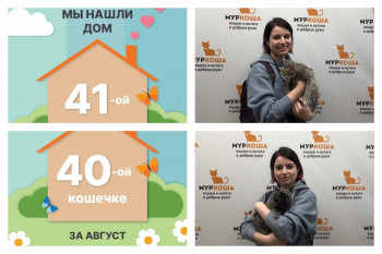 Кошечки Нукси и Нуала отправились домой вместе!