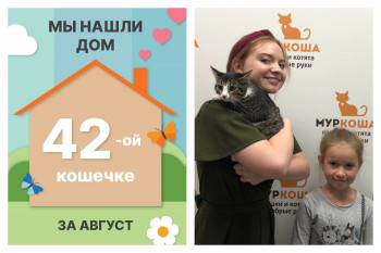 Очаровательная Птаха стала домашней!