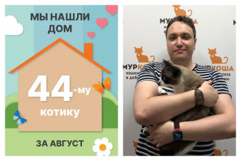 Котик Адидас встретил нового хозяина за один месяц!