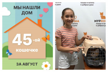 Кошечка Алания снова домашняя и счастливая!