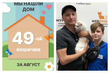 Кошечка Лапуля стала домашней за два месяца!