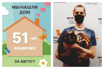 Кошечка Сюзи отправилась в новый дом!
