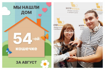 Малышка Йоко встретила надежных хозяев!