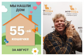 Кошечка Ришка отправилась в замечательную семью!