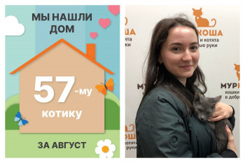 Малыш Коперфильд отправляется в новый дом!