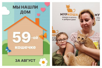 У кошечки Тенге начинается счастливая домашняя жизнь!