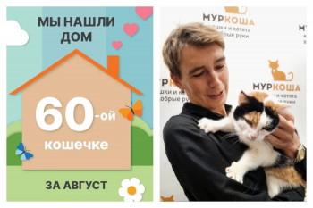 Кошечка Лизхен стала домашней и счастливой!
