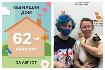 Кошечка Фейхоа стала частью прекрасной семьи!