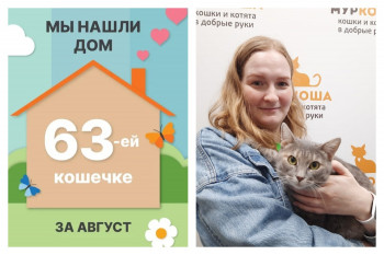 У кошечки Ашоки появилась заботливая хозяйка!