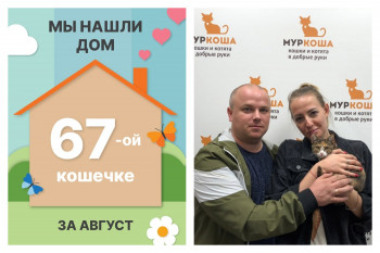 Булька стала домашней за две недели!