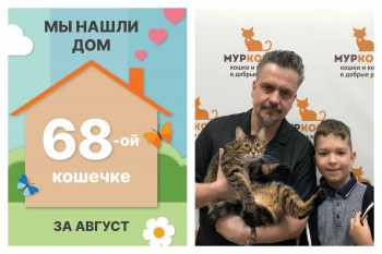 Кошечка Липка встретила свою надежную и заботливую семью!