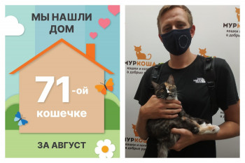 Малышка Сатори нашла дом за три недели!