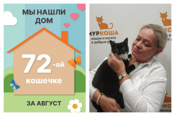 Кошечка Делла начинает домашнюю жизнь!