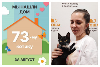 Маленький Брамс отправился в домашнюю жизнь!