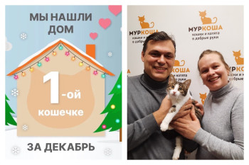 Нежная Ракушечка нашла дом за два месяца!