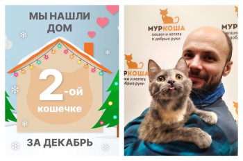 Очаровательная Коташьян встретилась со своим хозяином!