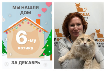 Котик Тыквин начинает новую жизнь!