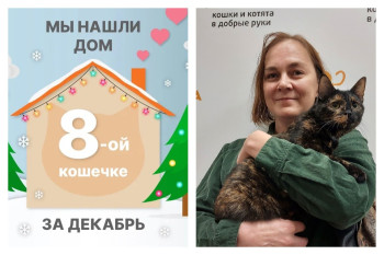 Отважная кошечка Кочерыжка начинает домашнюю жизнь!