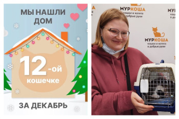 Уезжает в новый дом прекрасная Тира!