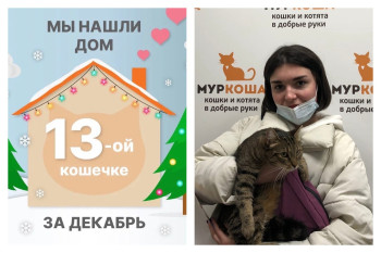 Необыкновенная Чиабатта стала домашней!