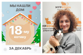 Котик Барбаросс встретил надежную хозяйку!