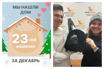 Кошечка Нева начинает счастливую жизнь дома!