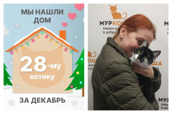Котик Баки Барнс отправился домой спустя два месяца!
