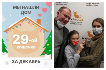 Кошечка Васинья встретила свою семью всего за месяц!