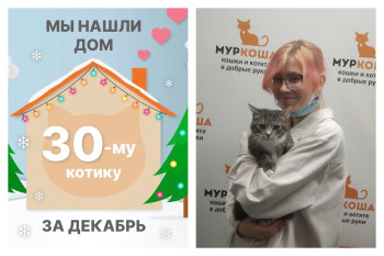Котенок Добруша уезжает домой с прекрасной хозяйкой!