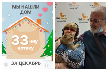 Прекрасный Азот встретил заботливых хозяев!