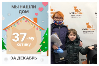 Малыш Хьюстон стал домашним любимцем!